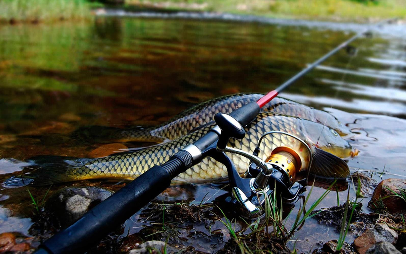 সম্পূর্ণ ভ্রমণ এবং আবাসন পরিকল্পনা